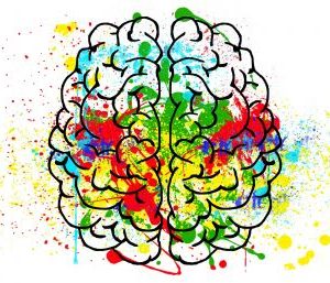 Raisonnement et biais cognitifs : quand notre cerveau nous joue des tours